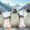 Pudgy Penguins' PENGU Token Soars 13% Amid NFT Sales Slump: What’s Next for Investors?