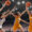 Wednesday Showdown: Unpacking the Mercury vs. Sun Matchup – Predictions, Odds, and Top WNBA Prop Bets!