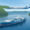 Revolutionizing Inland Shipping: Wattlab Launches First Solar-Hybrid Cargo Vessel, Blue Marlin