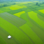 Transforming Agriculture: How Vietnam is Embracing Smart Technology for Sustainable Growth