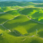 Harnessing AI: Croatia's Innovative Approach to Bird Conservation in Wind Farms