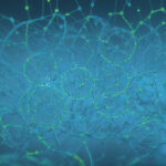 Unleashing the Power of mRNA: Why Resistance to This Revolutionary Technology Threatens Our Fight Against Cancer