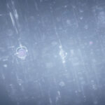 Revolutionary Bladder Cancer Treatment Receives FDA Approval: A Breakthrough from MIT's Labs