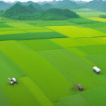 Harnessing Technology for Rural Revitalization: Vietnam's Journey Towards Smart Agricultural Communities