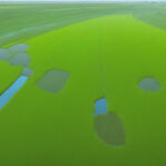 Harnessing Innovation: How Smart Flowmeter Technology is Transforming Groundwater Management in India