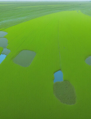 Harnessing Innovation: How Smart Flowmeter Technology is Transforming Groundwater Management in India