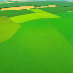 Harnessing Digital Innovation for Carbon Farming: A Path to Sustainable Agriculture in Africa