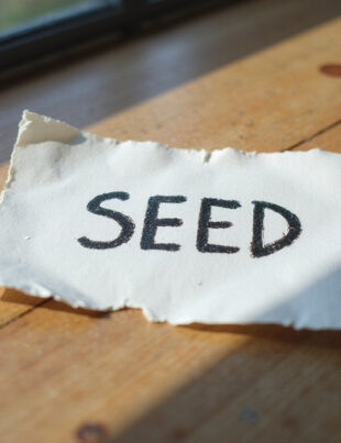 self custody Mistakes That Could Cost You Your Crypto