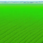 Revolutionizing Agriculture: AI Technology to Enhance Seed Storage and Boost Productivity in Ghana