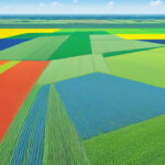 Revolutionizing Cotton Farming: How Technology is Transforming Efficiency on Modern Agriculture's Frontlines